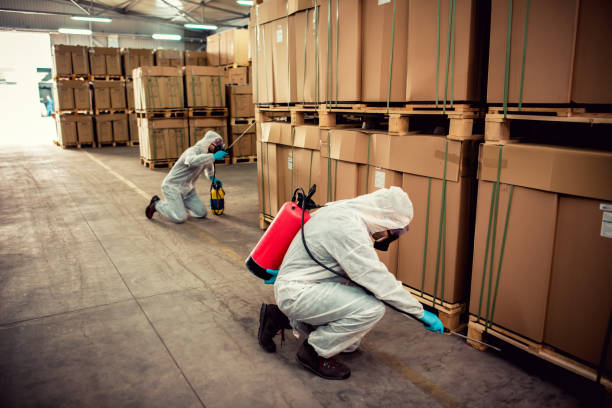 Best Flea Control Services  in Factoryville, PA