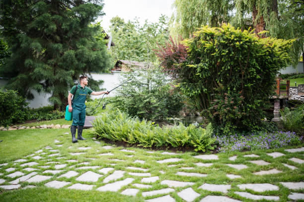 Best Wasp Removal Services  in Factoryville, PA