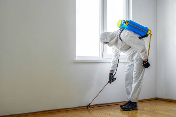 Best Emergency Pest Control  in Factoryville, PA