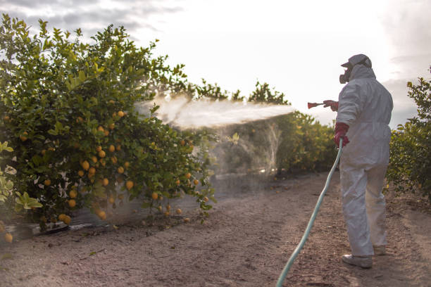 Best Cockroach Control Services  in Factoryville, PA