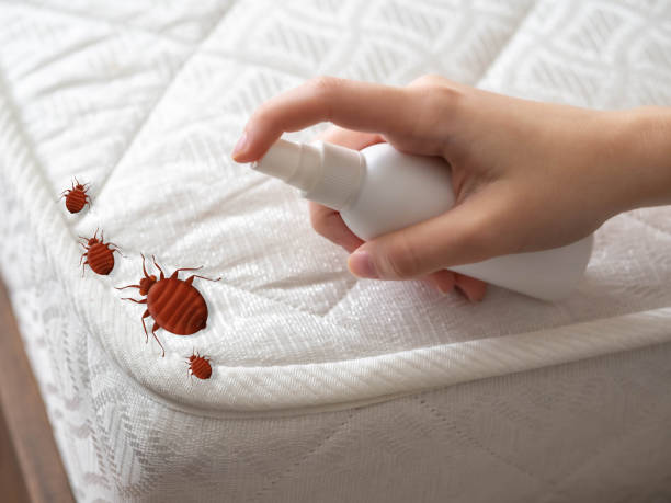 Reliable Factoryville, PA Pest Control Solutions