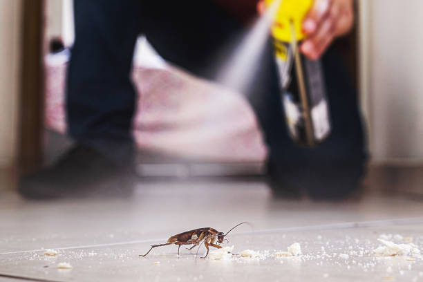 Best Local Pest Control Services  in Factoryville, PA