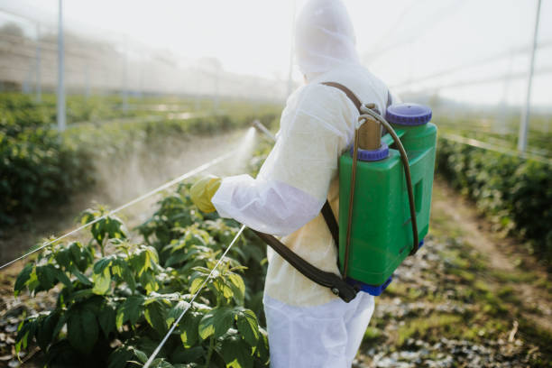 Best Pest Removal Services  in Factoryville, PA